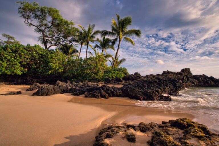A calm Oahu beach with turquoise water
