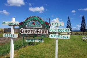 Best coffee North Shore Oahu