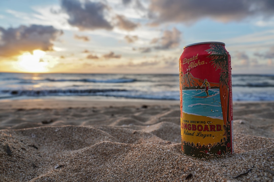 Oahu Travel Guide