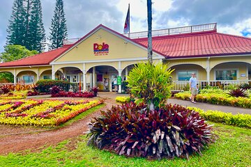 Dole Plantation Tour