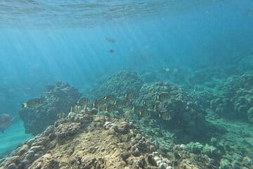 Hanauma Bay Snorkeling Tour