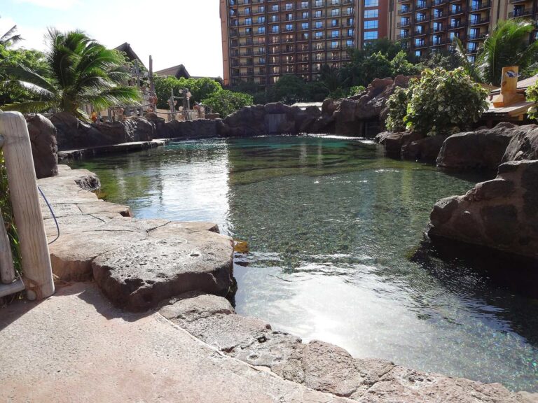 Rainbow Reef, Aulani's saltwater snorkel pool with tropical fish