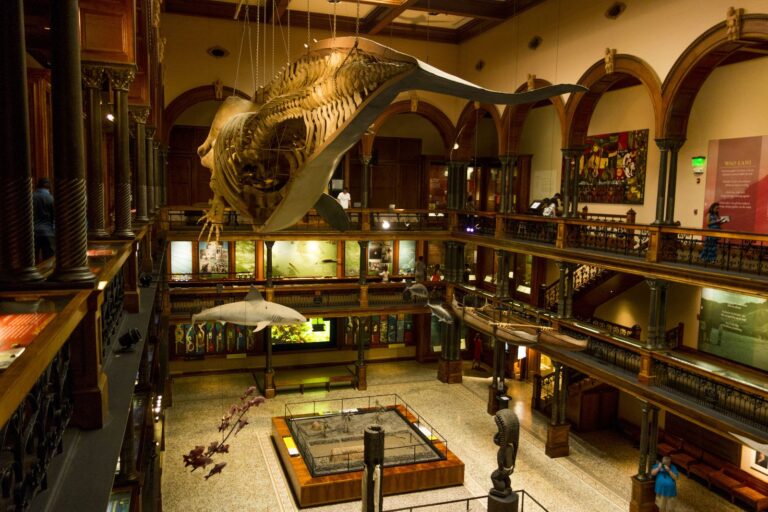 Hawaiian Hall at Bishop Museum in Honolulu, three floors of wood-paneled galleries around an open hall