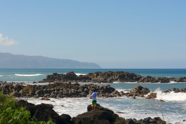 Lava rock shoreline on the North Shore of Oahu near Waimea Bay