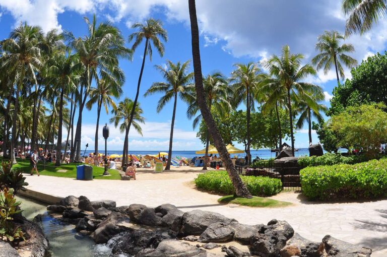 Palms and a path to the beach on the Hilton Hawaiian Village grounds