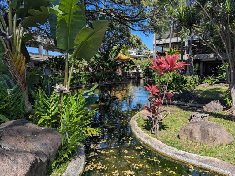 Pond edged with red ti and heliconia in the Hawaiian Garden at Honolulu airport