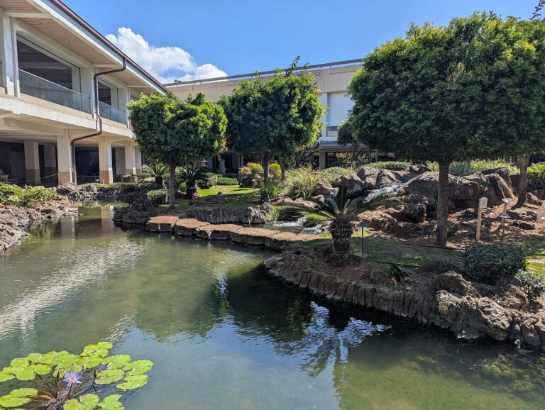 Pond with lily pads and pruned trees in the Japanese Garden at Honolulu airport