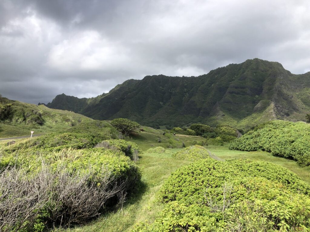 Kaʻaʻawa Valley on Oahu's windward side, where Kualoa Ranch's adventure tours ride