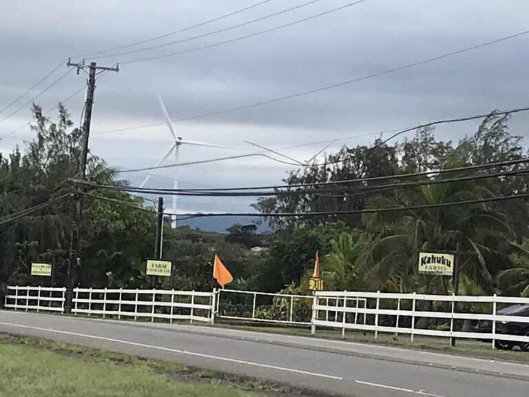 Kahuku Farms signs along the fence on Kamehameha Highway, with a wind turbine behind