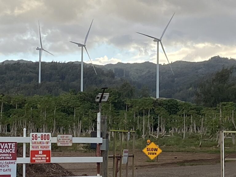 Kahuku Farms Tour: What to Know Before You Go