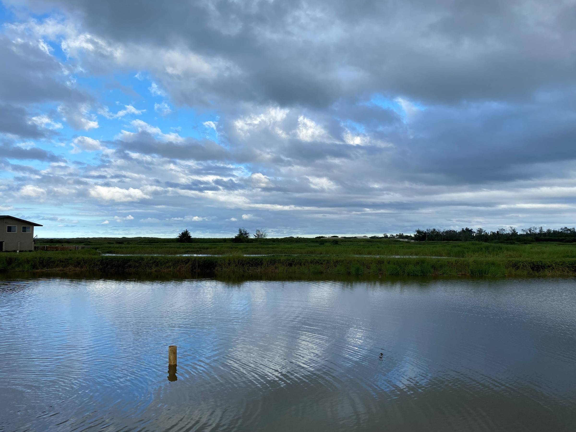 Shrimp farm ponds in Kahuku on Oahu's North Shore