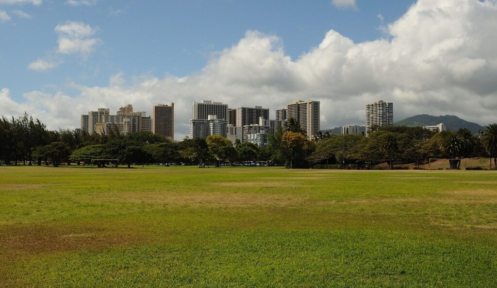 The open lawn of Kapiolani Park with Waikiki hotel towers behind the trees