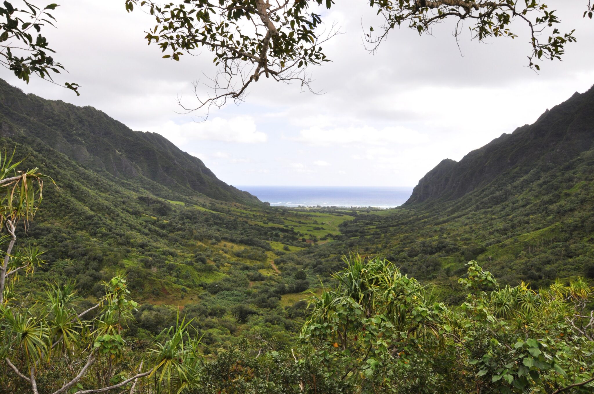 Kaaawa Valley at Kualoa Ranch on Oahu, green cliffs opening to the ocean