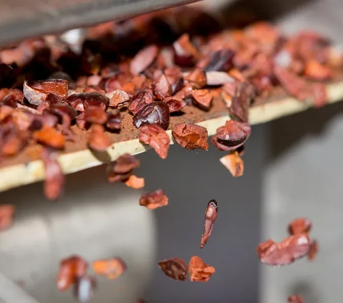 Roasted cacao nibs sliding off a tray during winnowing at the Lonohana chocolate factory