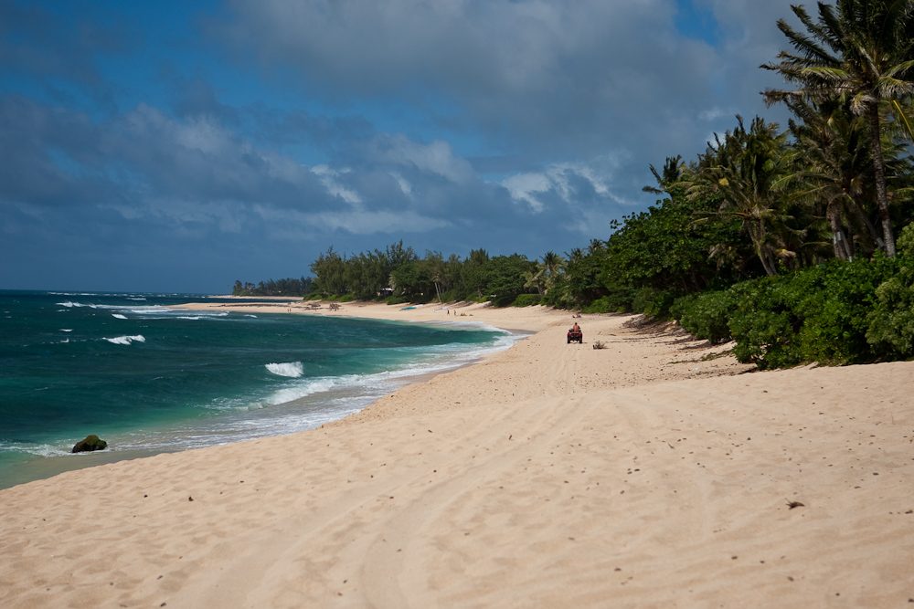 A North Shore lifeguard driving an ATV along a sandy beach on Oahu