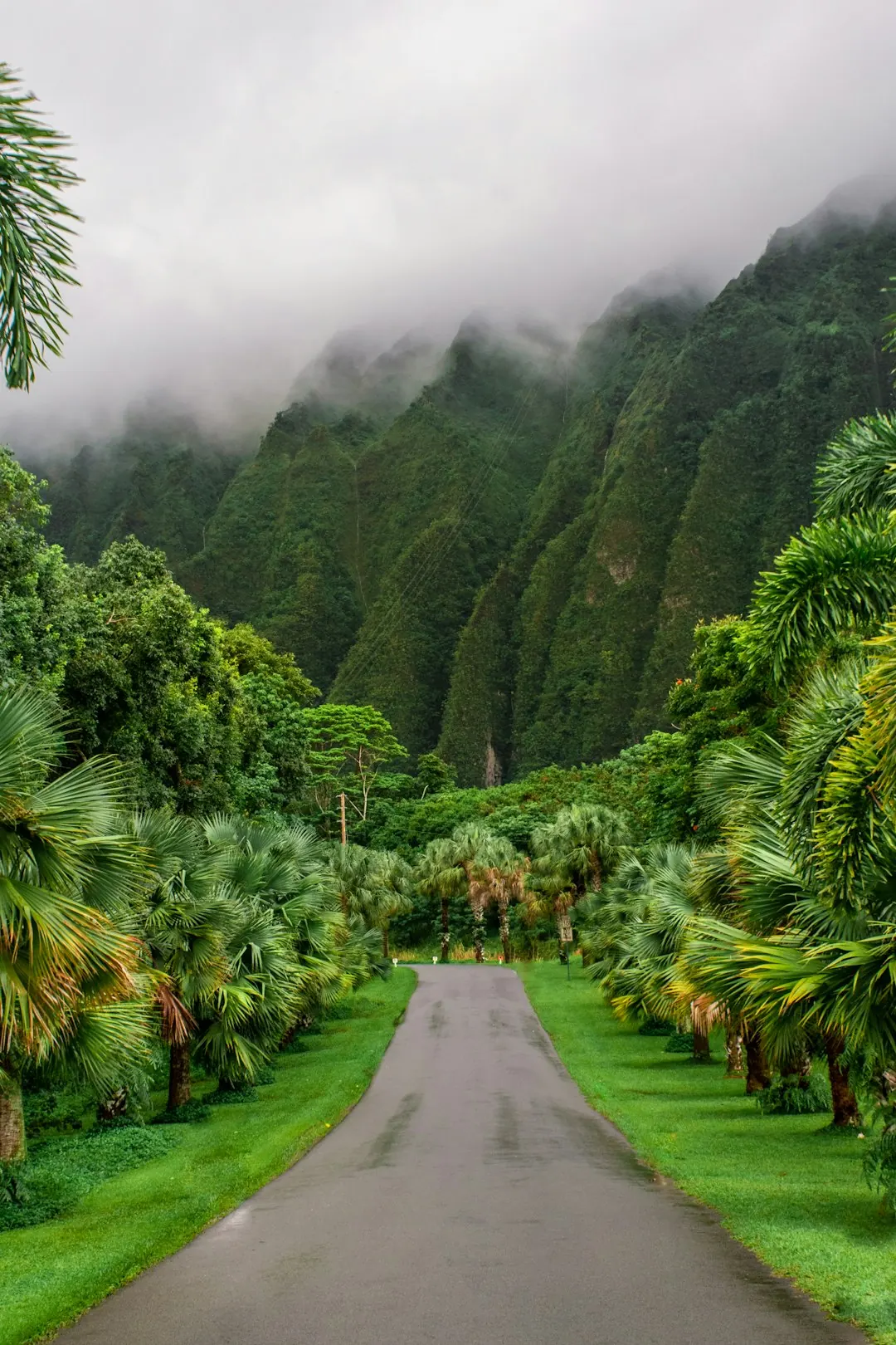 Road trip around Oahu