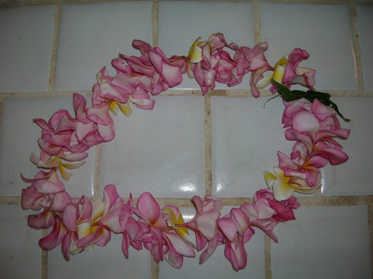 A finished lei strung from pink and yellow plumeria
