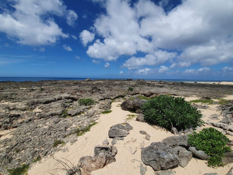 Rocky limestone shoreline and sand near Ke Iki Beach
