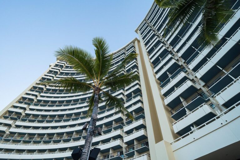 The curved tower and lanais of the Sheraton Waikiki behind a palm