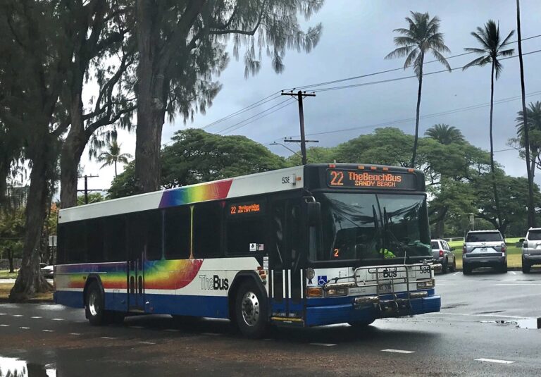 A white TheBus city bus with rainbow stripes on a palm-lined Honolulu street