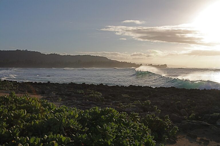 Surf breaking on the rocky shore at Turtle Bay in winter