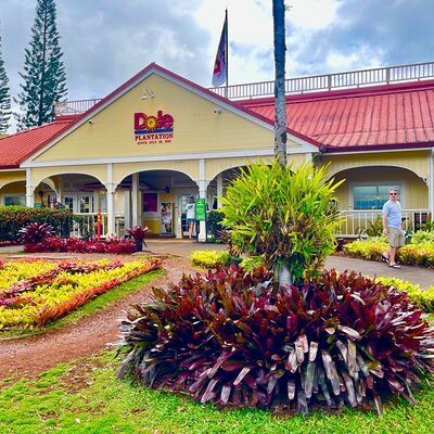 Oahu: Roundtrip Shuttle From Waikiki to Dole Plantation & Haleiwa