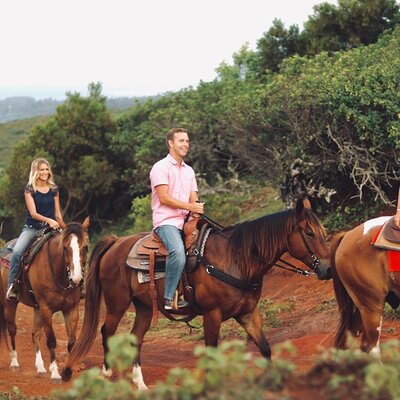 Oahu Sunset Horseback Ride on the North Shore