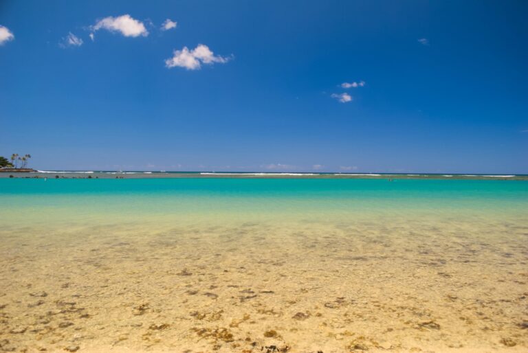 Clear shallow water at Ala Moana Beach Park with the offshore reef line visible
