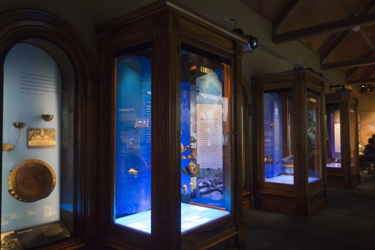 Lit display cases in Pacific Hall at Bishop Museum