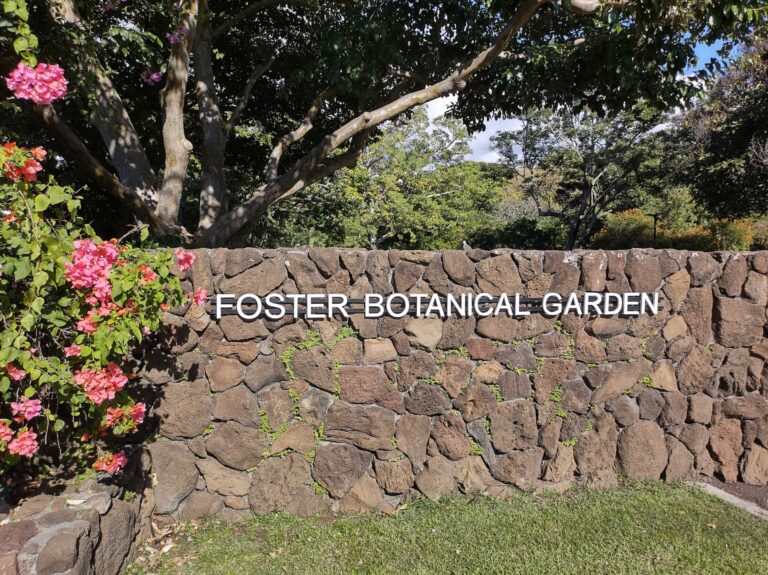 Foster Botanical Garden Honolulu: Hours, Prices and Trees