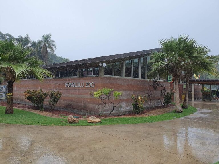 The Honolulu Zoo entrance wall and sign with palms and wet pavement in the rain