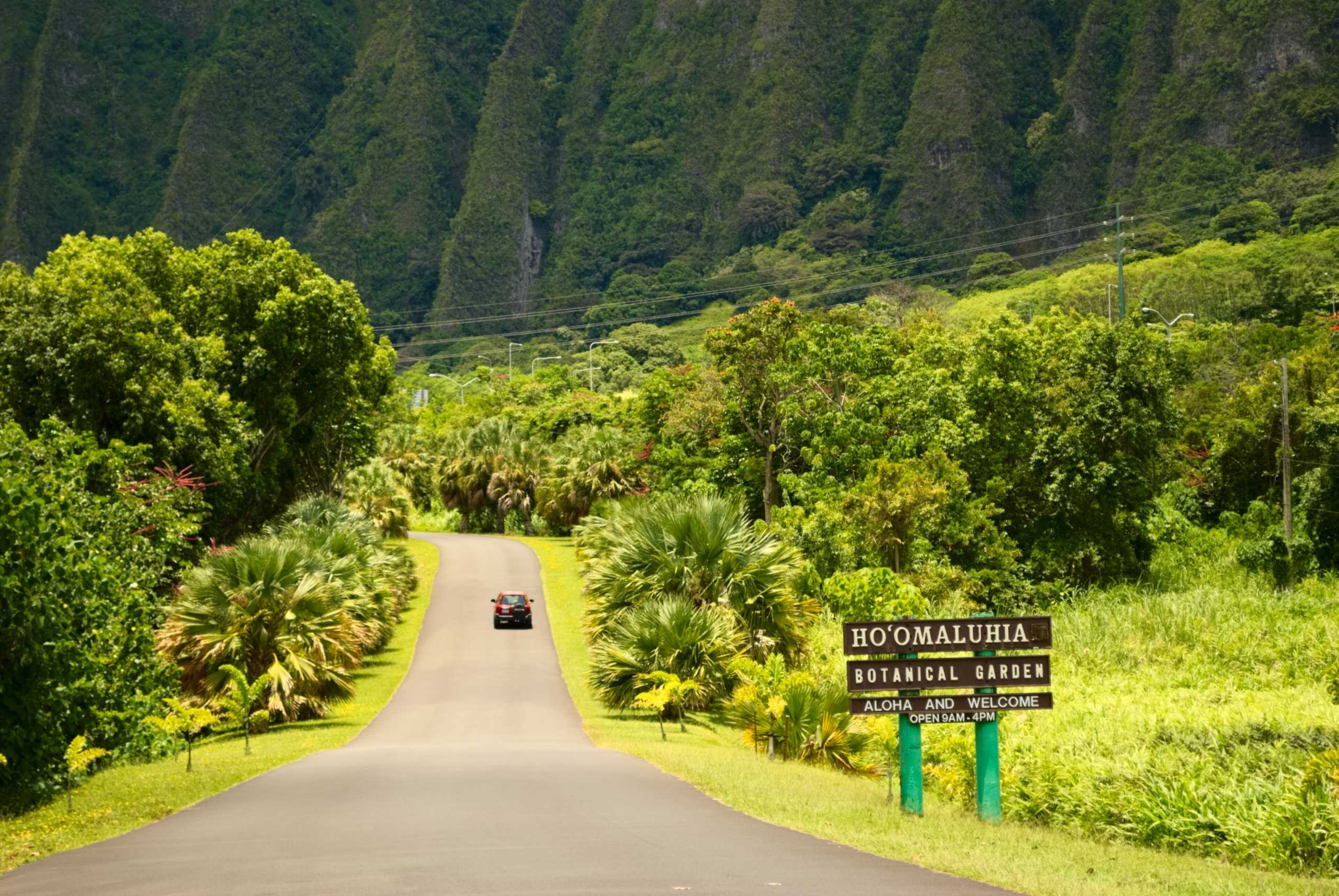 The entrance road at Hoʻomaluhia Botanical Garden running toward the green cliffs of the Koʻolau in Kāneʻohe
