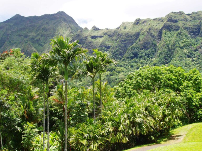 The fluted Koʻolau cliffs above the lawns and lake at Hoʻomaluhia Botanical Garden