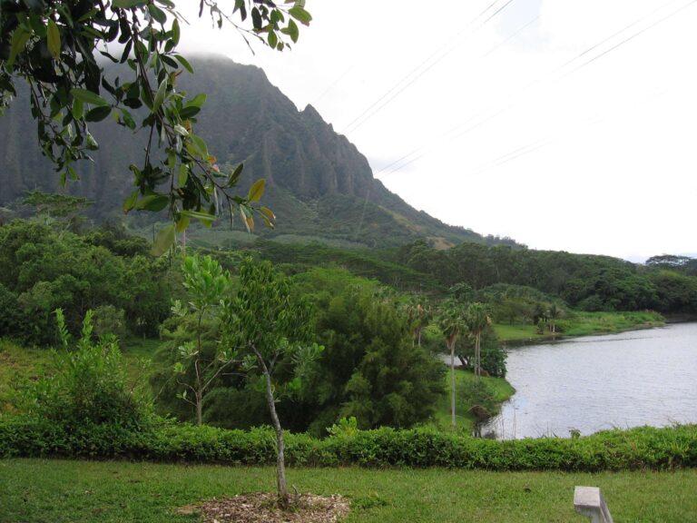 Loko Waimaluhia, the lake at Hoʻomaluhia Botanical Garden, with mountains behind