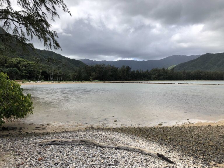 Calm water inside Huilua Fishpond, with ironwoods and mountains beyond