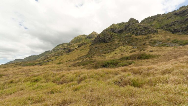 Dry grass and the green ridgeline of the Waiʻanae Range above the Mokulēʻia section of Kaʻena Point State Park