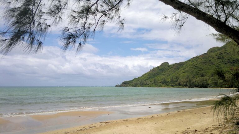 Kahana Bay Beach Park and Kahana Valley State Park: Trails, Camping and Rules