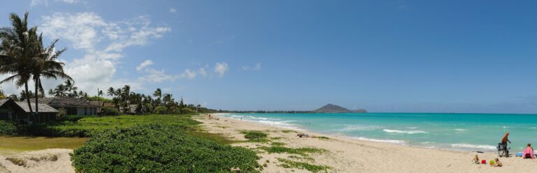 Panorama of Kailua Beach with beach vegetation, turquoise water and a headland in the distance
