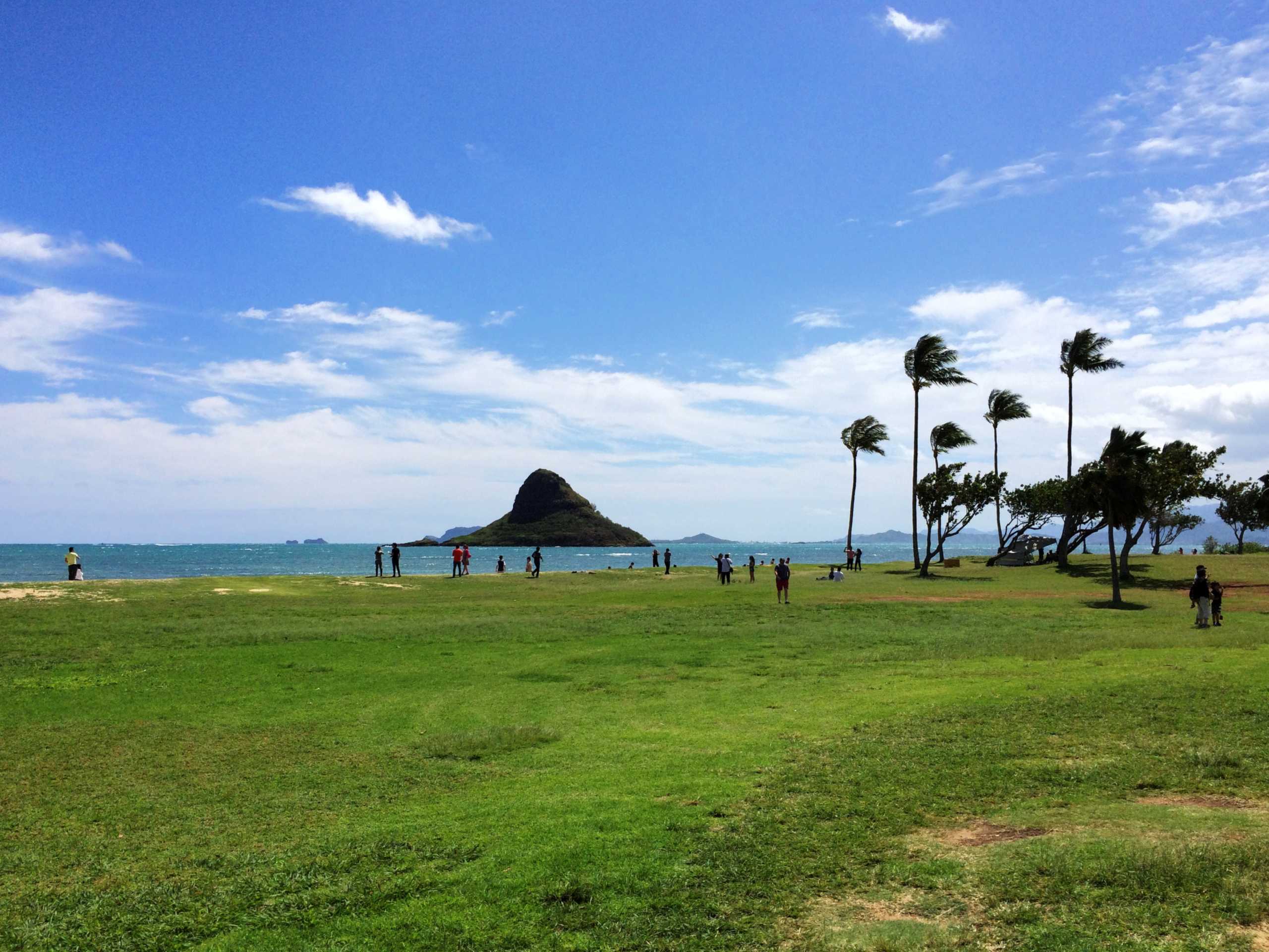 The lawn at Kualoa Regional Park with palms, visitors and the islet Mokoliʻi offshore