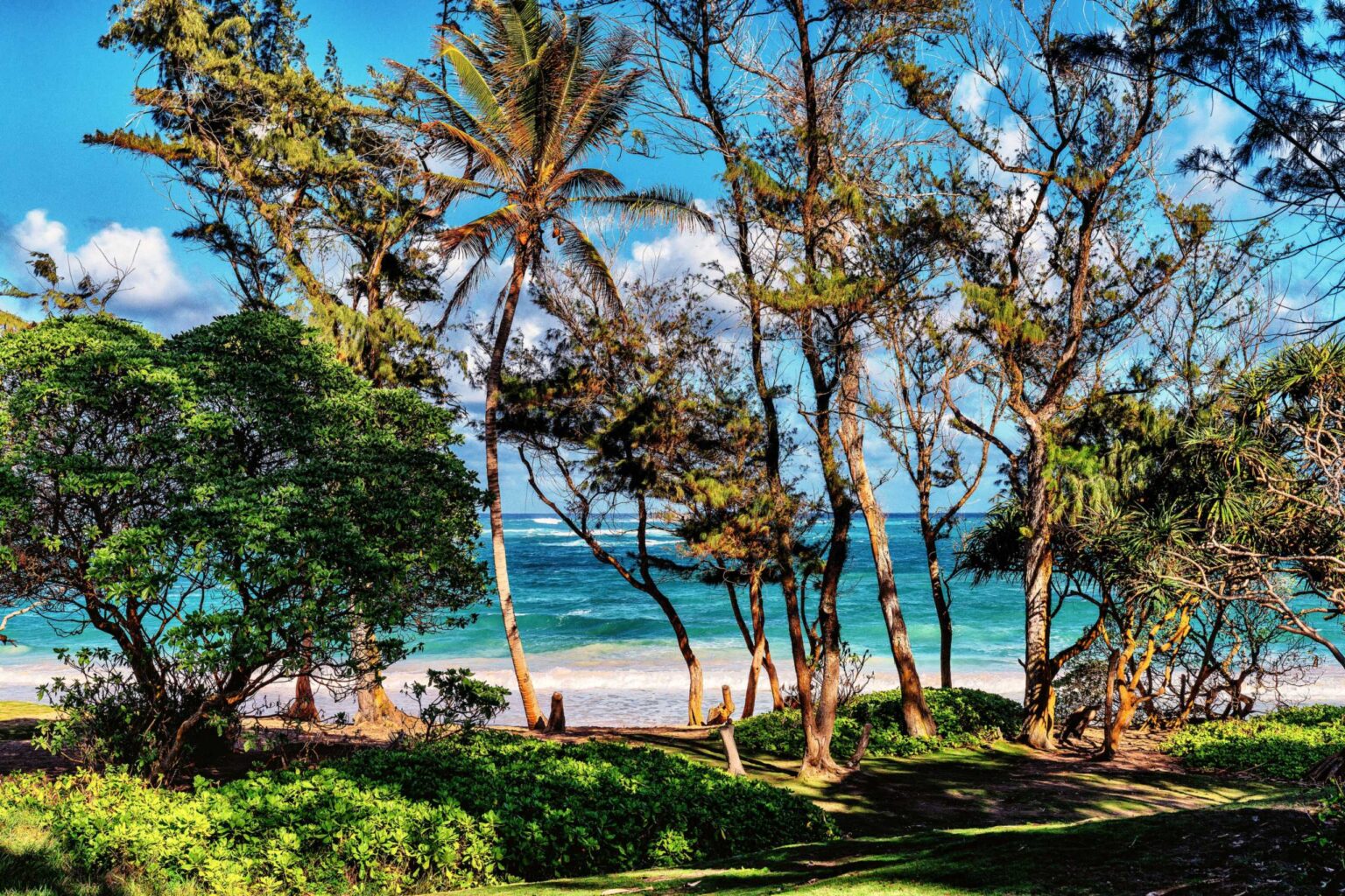 Ironwood and palm trees frame turquoise water and a white-sand beach at Mālaekahana