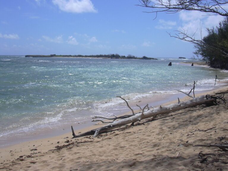 Mokuʻauia, the low Goat Island islet, seen across Mālaekahana Bay from the sand