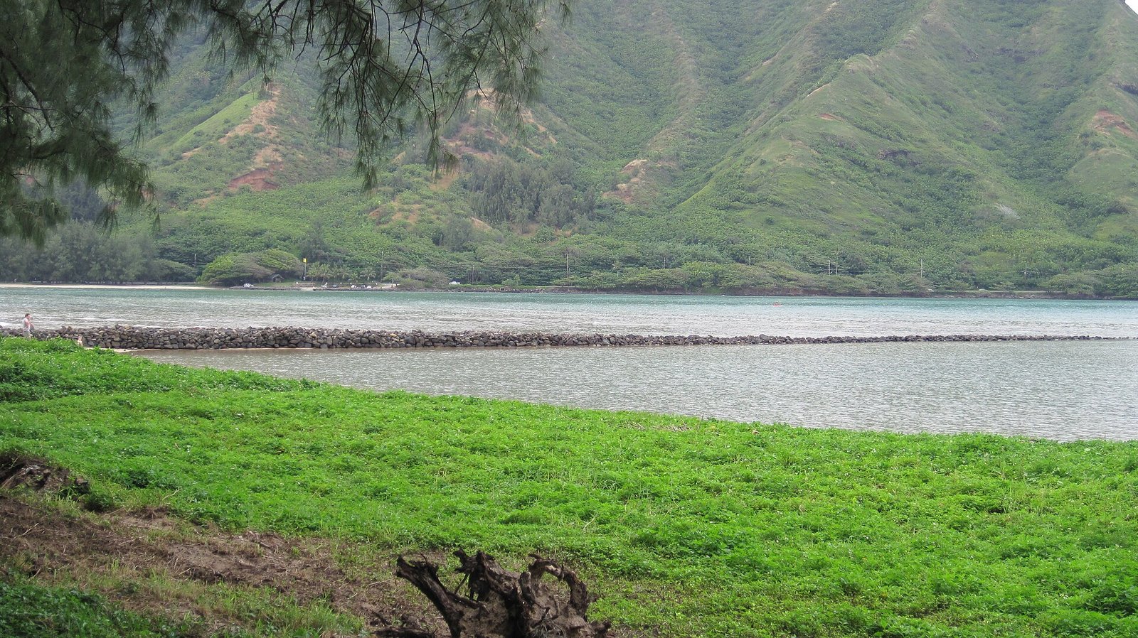 The Huilua Fishpond rock wall across Kahana Bay below green valley walls