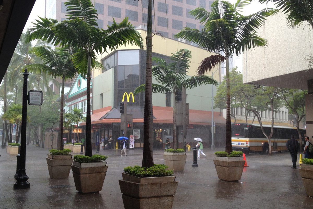 Heavy rain falling on a downtown Honolulu street, with people under umbrellas and a city bus at the curb
