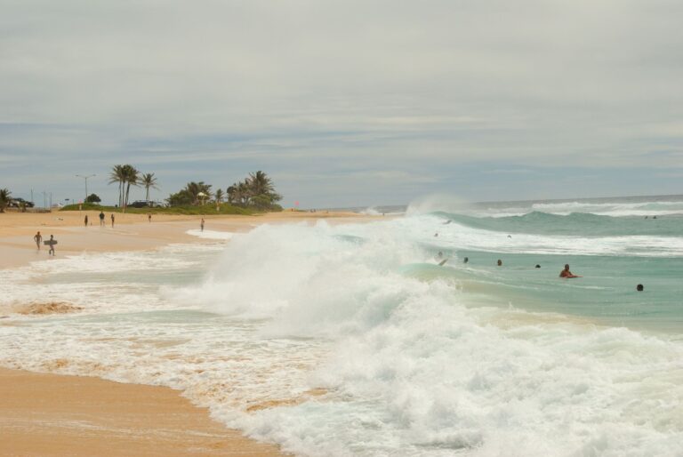 A wave collapsing onto the sand at Sandy Beach with swimmers in the break behind it