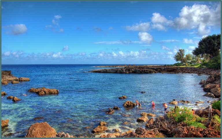 Snorkelers wading in the clear shallows of Shark’s Cove on Oahu’s North Shore