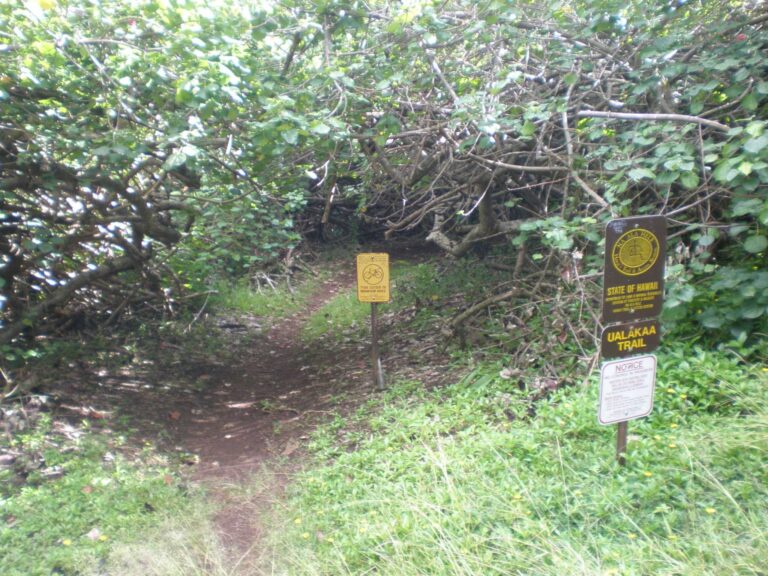 The ʻUalakaʻa Trail sign beside the path where the trail crosses Round Top Drive